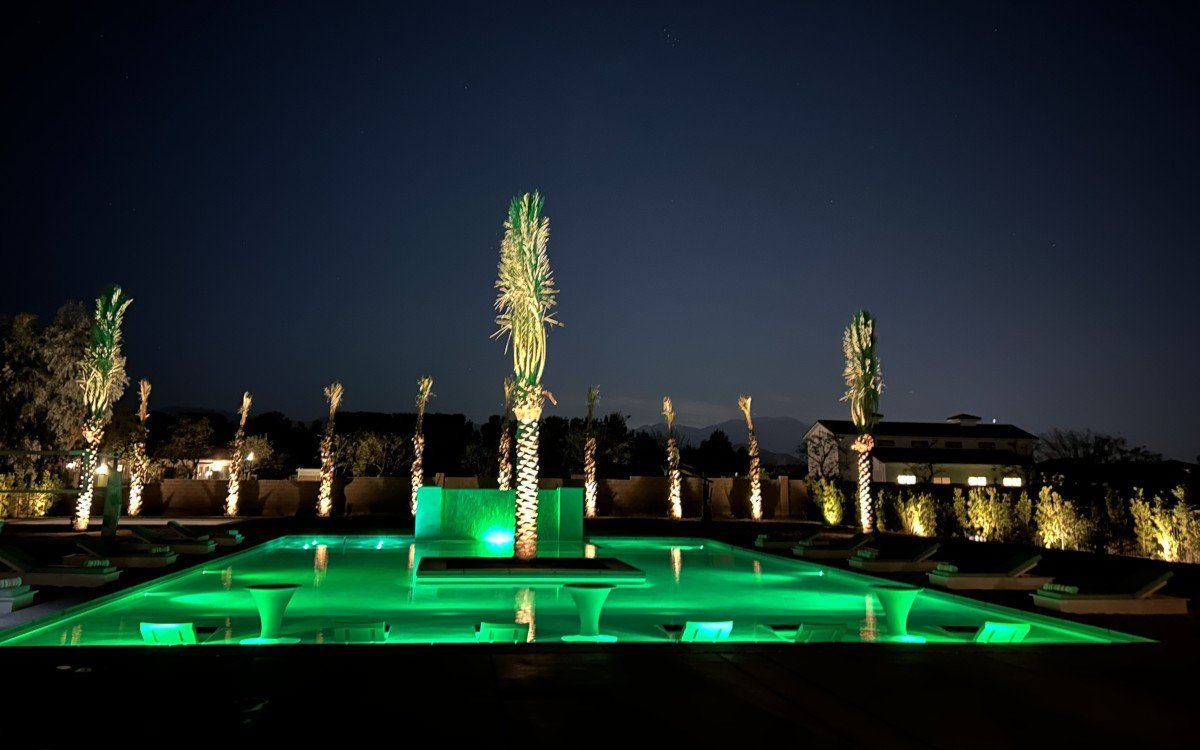 Uplit palm trees and lit shrubs around a backyard pool at night