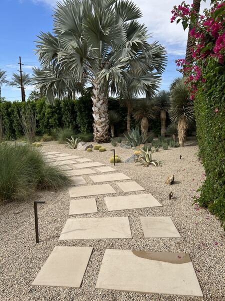 Large pavers stepping through gravel toward a Bismarck palm