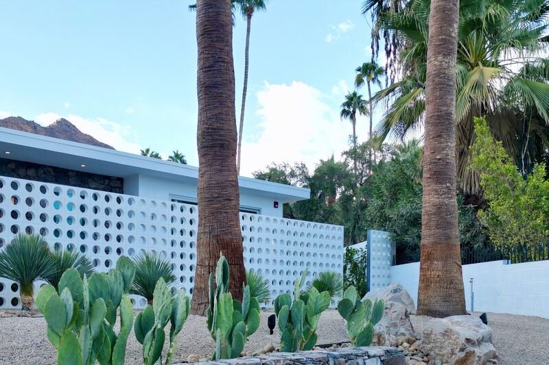 Prickly pear cactus and tall palms in a gravel front yard before a white breeze-block wall, with a mountain peak beyond