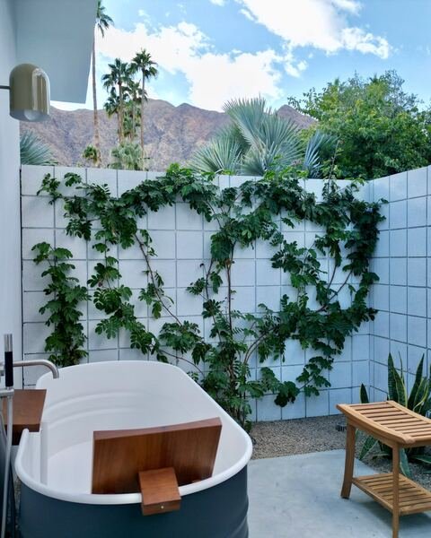 Vine-covered trellis wall and snake plants beside an outdoor soaking tub with mountains beyond